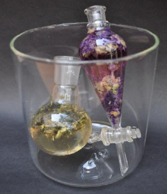 plantes phyto-fermentées