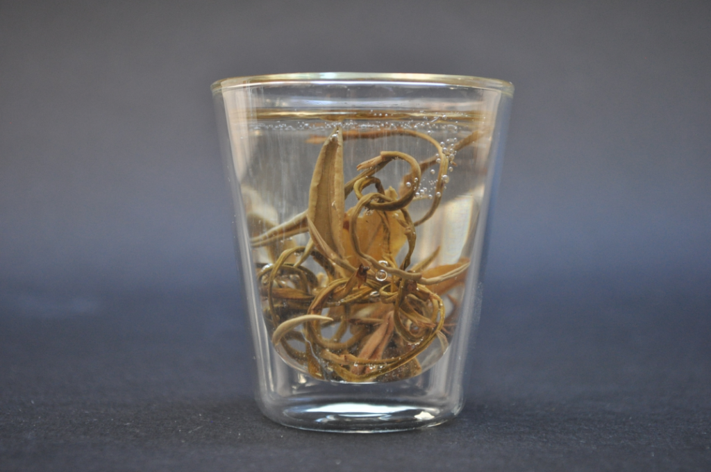 Kombucha : thé fermenté