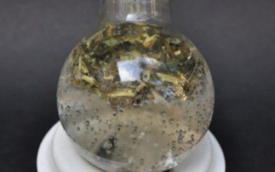 Presentation leaflet