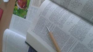 scientific-regulatory-support