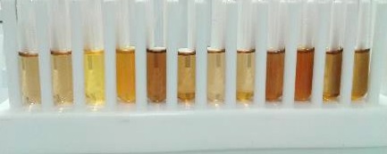 phyto-fermentation process