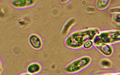 2022, a year full of projects and collaboration.